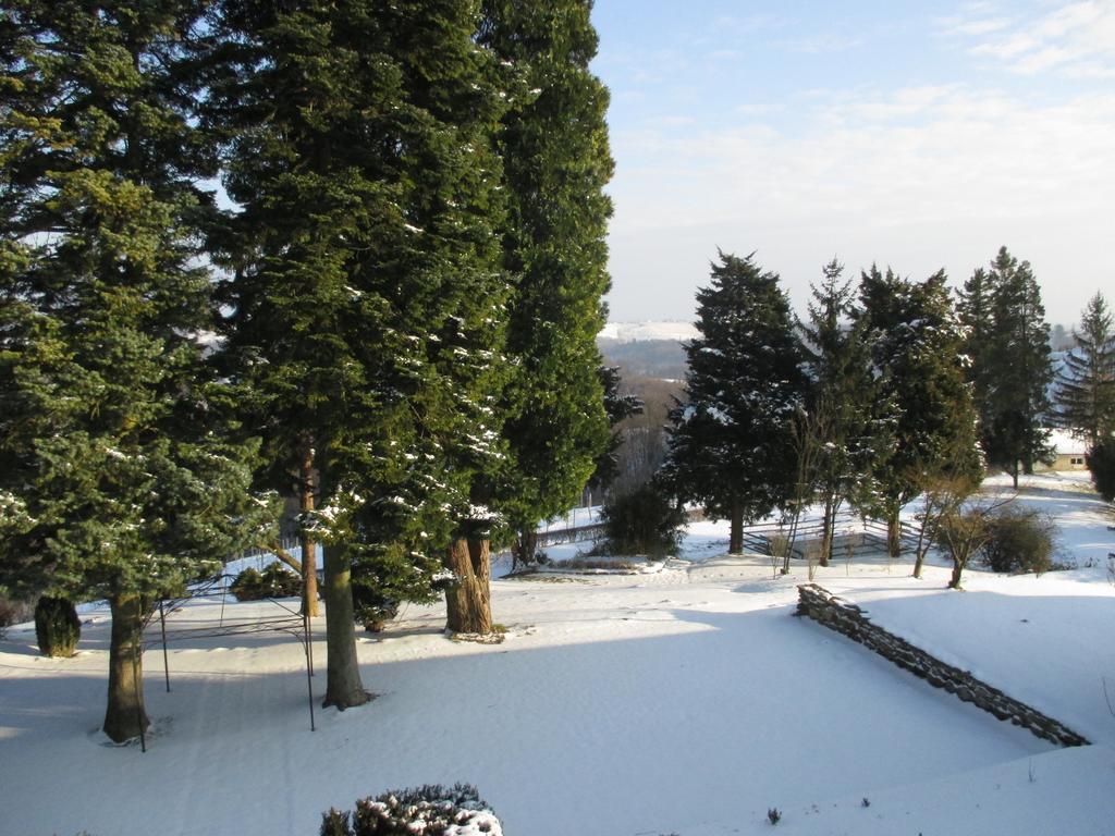 Dvorec Jeruzalem Ivanjkovci 외부 사진